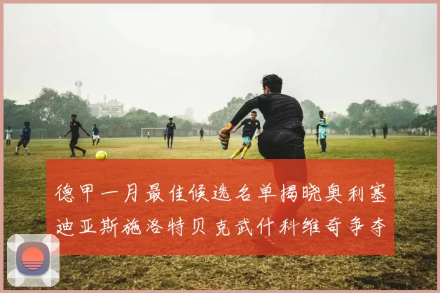德甲一月最佳候选名单揭晓奥利塞迪亚斯施洛特贝克武什科维奇争夺荣耀