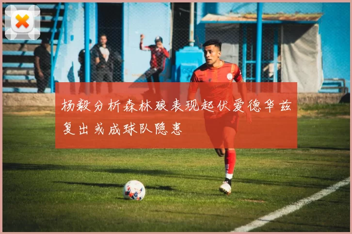 杨毅分析森林狼表现起伏爱德华兹复出或成球队隐患