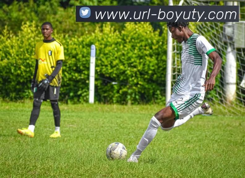 博鱼体育APP 高清赛事图